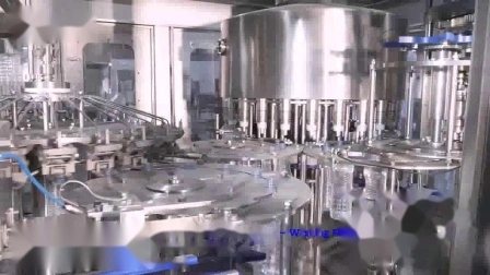 Machine d'emballage de remplissage d'eau pure minérale automatique de bouteille PET de 500 ml